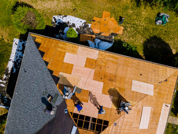 Best Slate Roofing Contractor  in Harbor Bluffs, FL