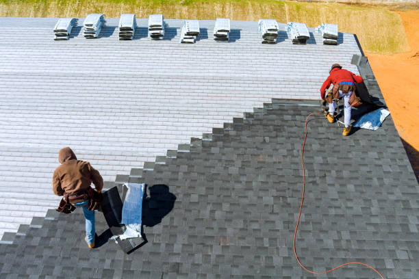 Best Roof Maintenance Services  in Harbor Bluffs, FL