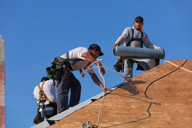 Best Flat Roof Repair Services  in Harbor Bluffs, FL