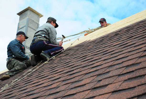 Best Roof Gutter Cleaning  in Harbor Bluffs, FL